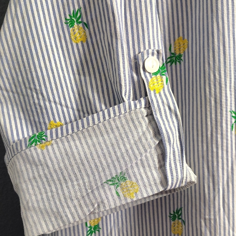 Perseption Striped Shirt Dress with Motif Pineapple Accents - Picture 4 of 6